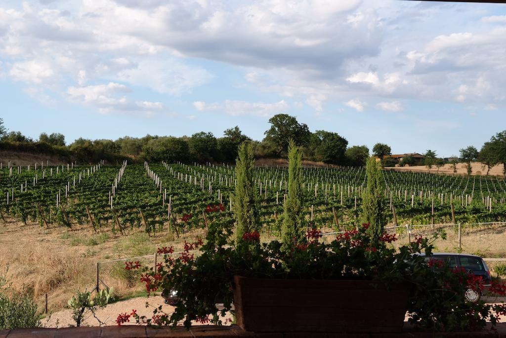 Podere Fingardella Guest House Paganico Exterior photo