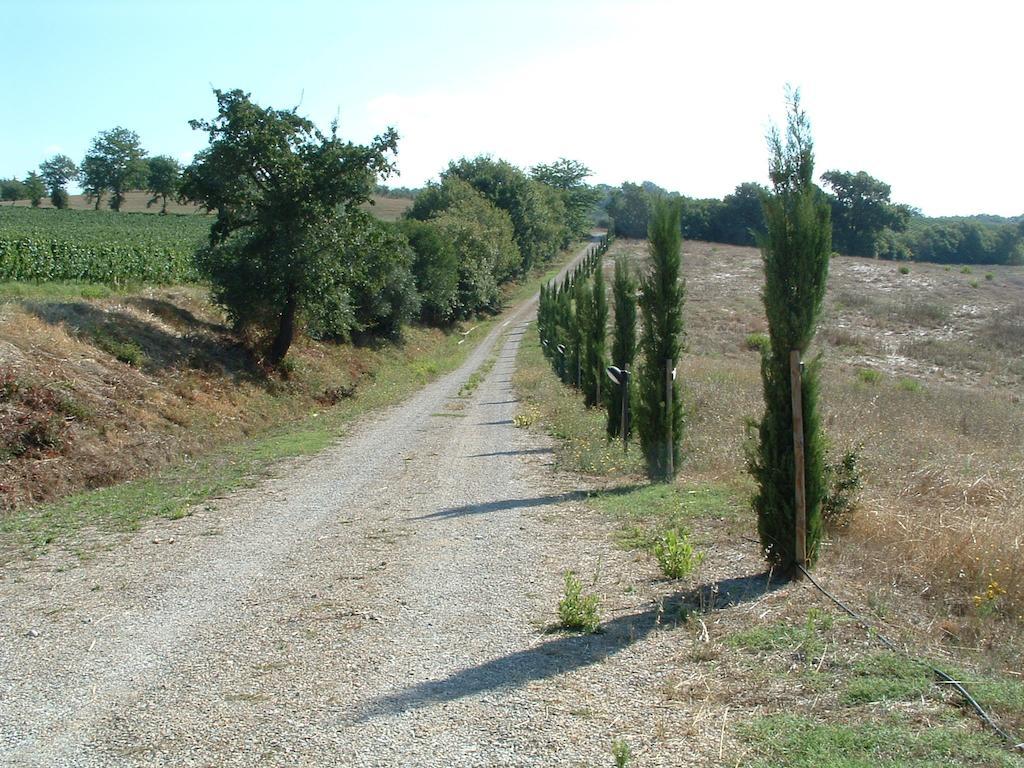 Podere Fingardella Guest House Paganico Exterior photo