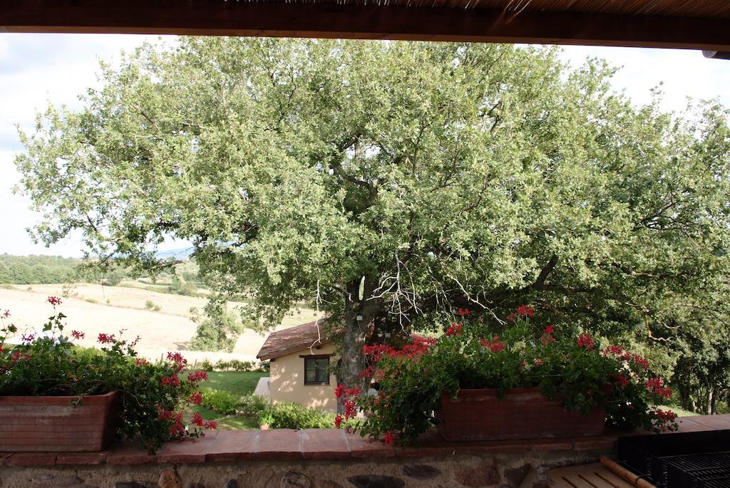 Podere Fingardella Guest House Paganico Exterior photo